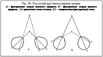 Подпись: Рис. 66. Ход лучей при бинокулярном зрении:
А — фиксирование   взором   ближнего   предмета;   Б — фиксирование   взором   дальнего   предмета;   1,4 -идентичные точки сетчатки; 2.3 — неидентичные (диспаратные) точки.
