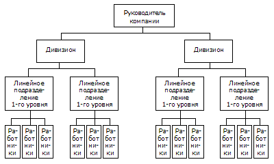 Дивизиональная (дивизионная) организационная структура управления предприятием