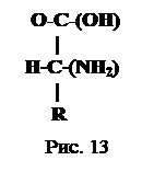 Подпись:    О-С-(OH)
        |
  H-C-(NH2)
        |
       R
Рис. 13
