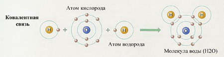 Схема образования молекулы водорода. Схема атома кислорода. Строение атома и молекулы кислорода. Молекула кислорода схема атома. Схема взаимодействия электронов.