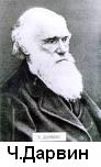 Ч.Дарвин