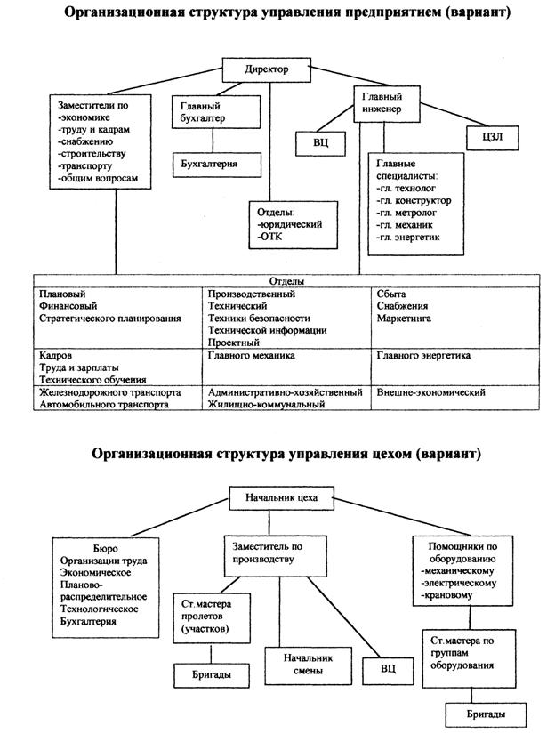 Организационная структура управления производством
