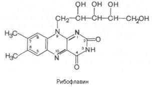 http://www.xumuk.ru/biologhim/bio/img524.jpg