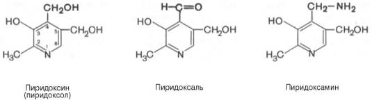 http://www.xumuk.ru/biologhim/bio/img532.jpg